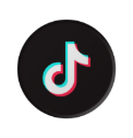 TikTok Advertising
